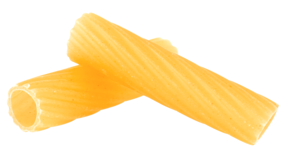 SX_RIGKATONI