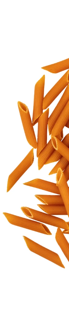 225x1024-PROTEIN PENNES – 1
