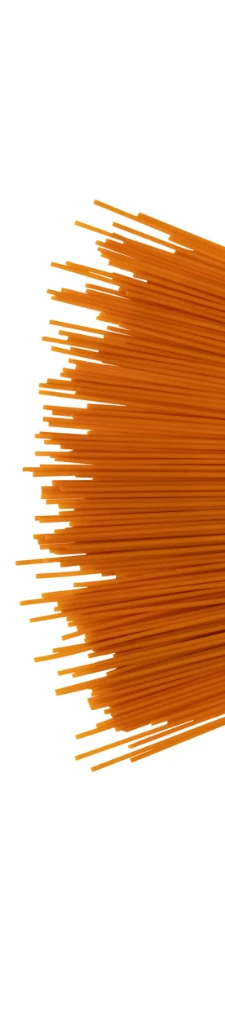 225x1024- PROTEIN SPAGHETTI – 1