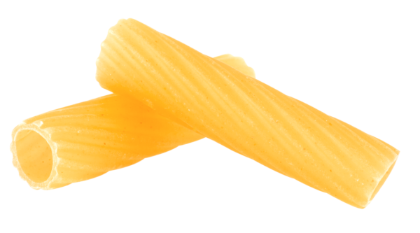 SX_RIGKATONI