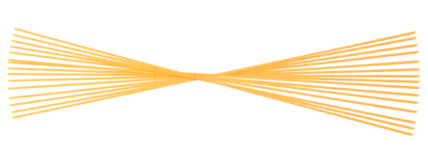 Product Page 600x219 SPAGHETTI
